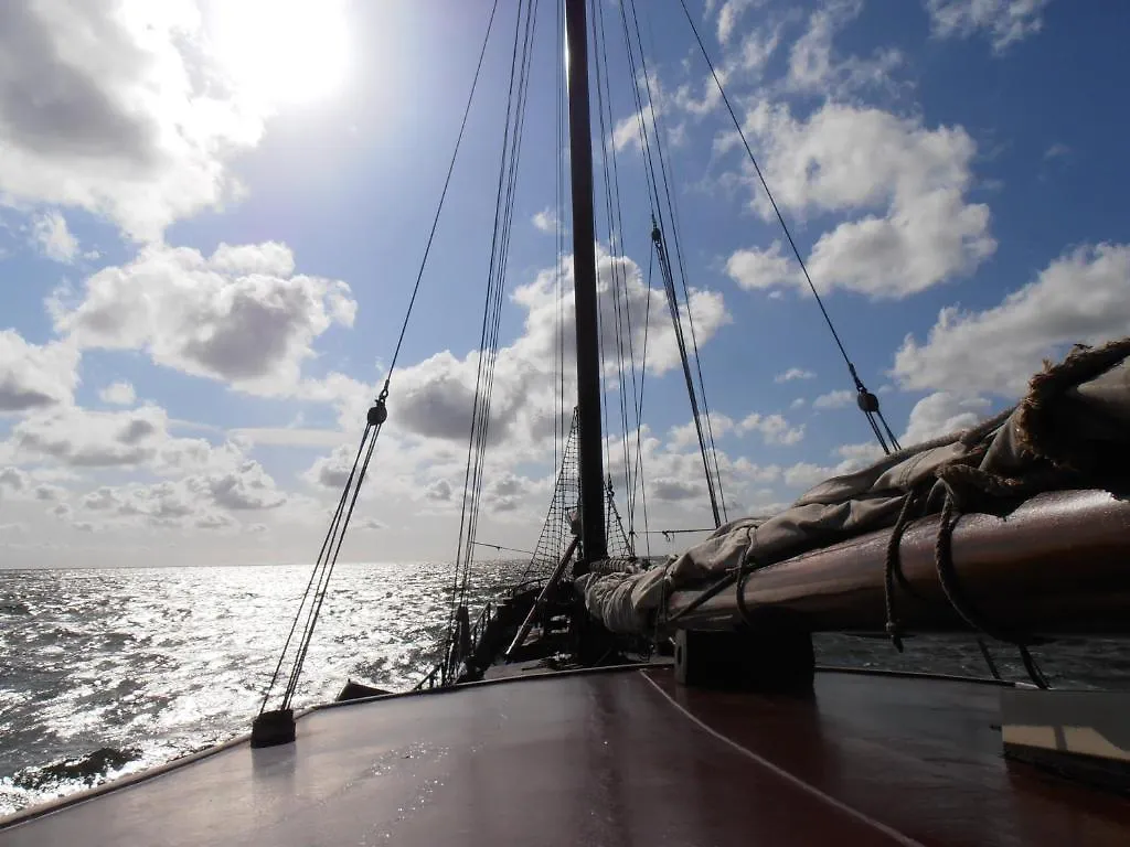 Authentic Ship 