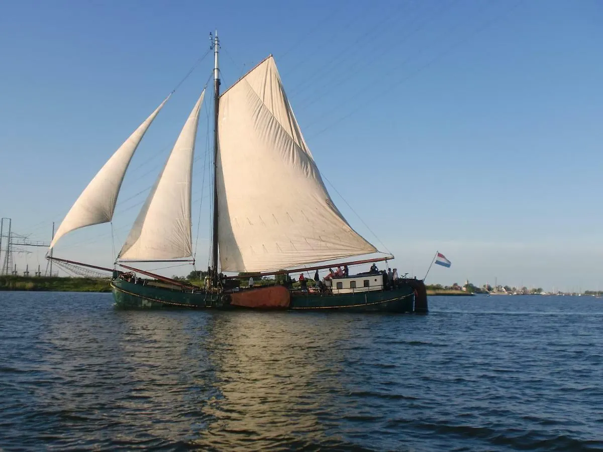 Authentic Ship 