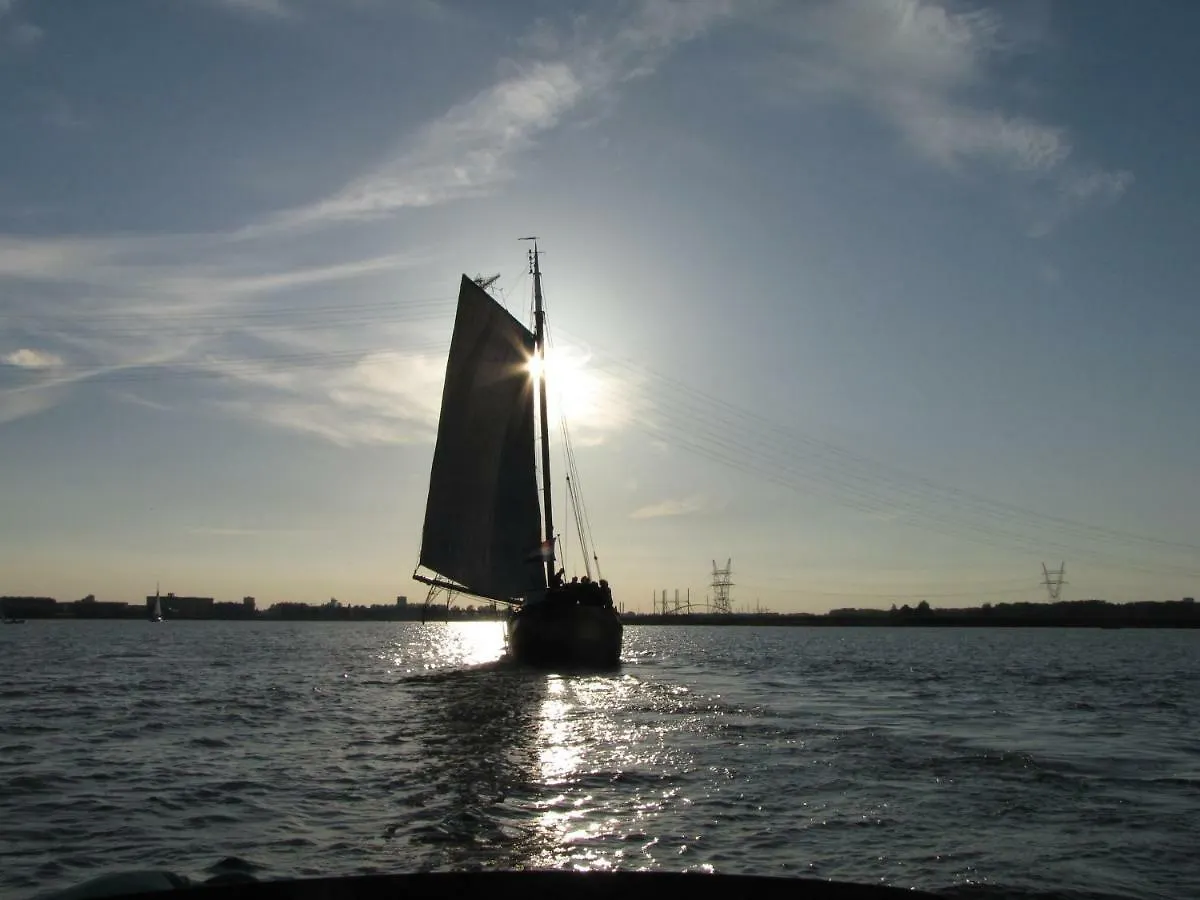 Authentic Ship \